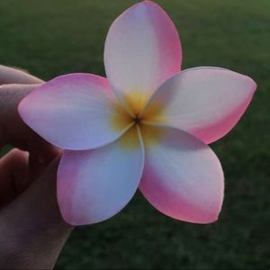 Meet your Posher, Belen